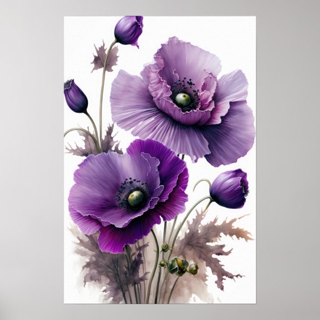 Pavot violet Fleurs Art Imprimer Poster (Devant)