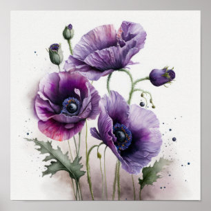 Pavot violet Fleurs Art Imprimer Poster