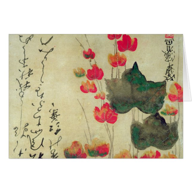 Pavots (Devant horizontal)