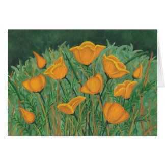 Pavots