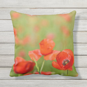 Pavots dans un coussin extérieur de champ de pavot