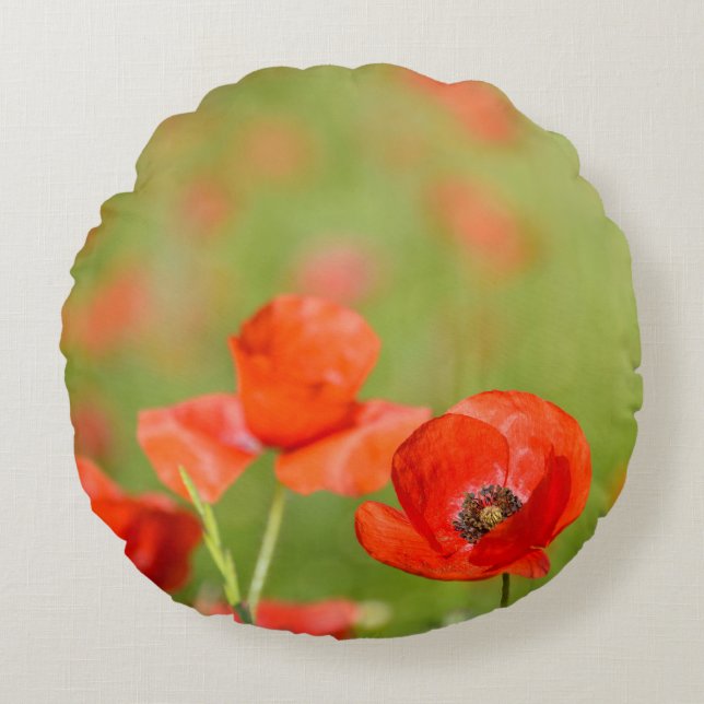 Pavots dans un coussin rond de champ de pavot (Devant)