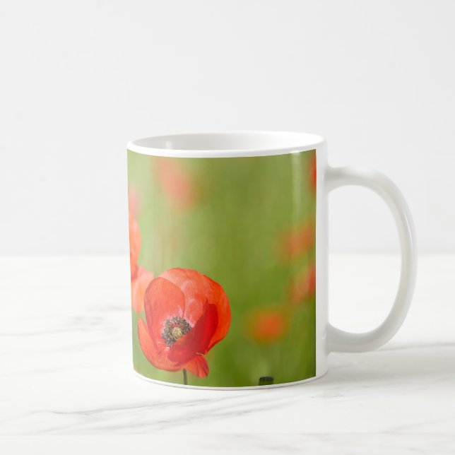 Pavots dans une tasse de champ de pavot (Droite)