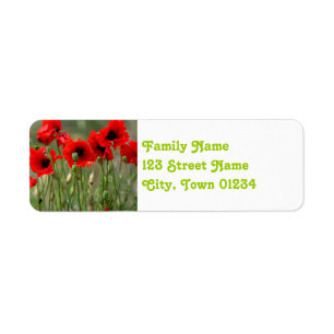 Pavots rouges