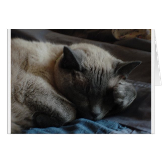 Paw d'Elliott (Devant horizontal)