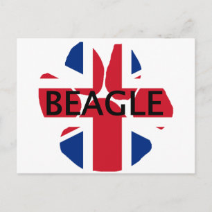 paw england United_Kingdom flag name Postcard