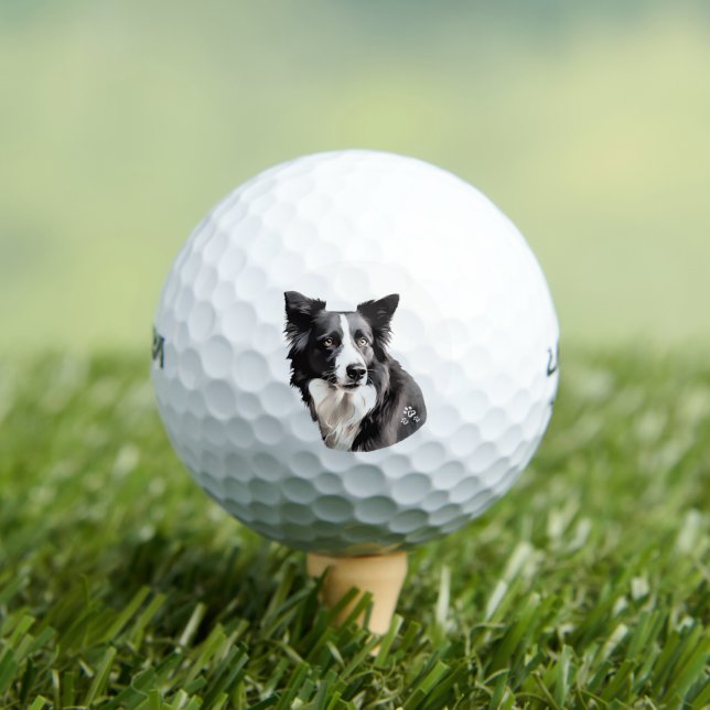 Paw-fect Golf Balls (Insitu Tee)