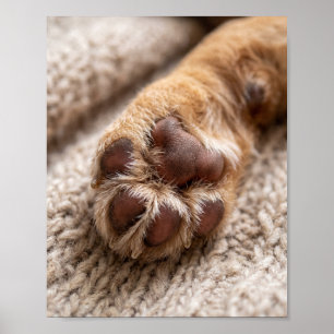 Paw Photo Custom 8 by 10 Pet Portrait Poster
