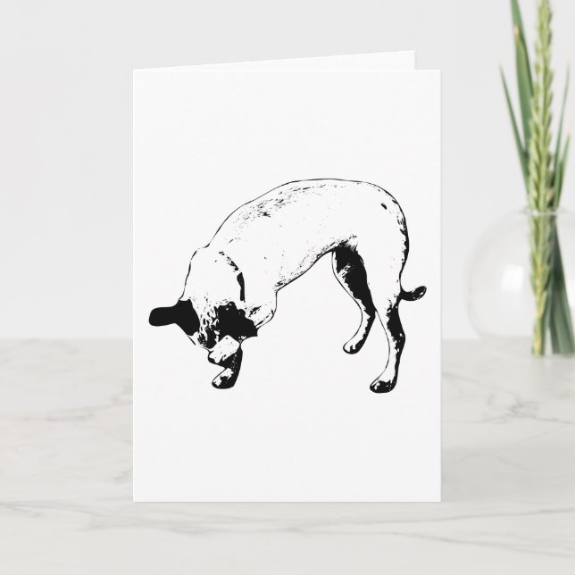 Paw-Pressed Holiday Hello Card (Front)