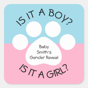 Paw Print Gender Reveal Square Sticker