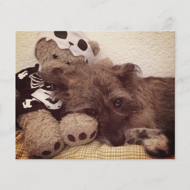 paw print on your heart pet loss memorial card (Front)