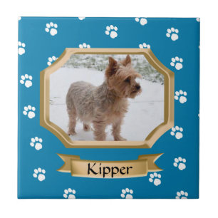 Paw Print Pet Photo Blue Tile