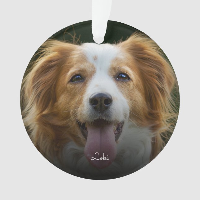 Paw Prints and Hearts Frame Custom Pet Photo Ornam Ornament (Front)