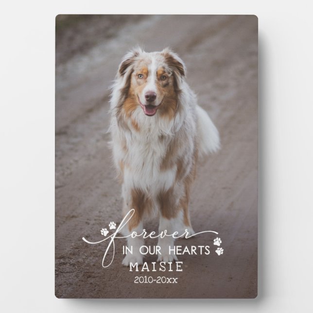 Paw Prints Forever In Our Hearts Pet Photo Plaque (Front)