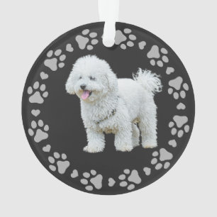 Paw Prints Frame Custom Pet Photo  Ornament