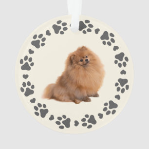 Paw Prints Frame Custom Pet Photo  Ornament