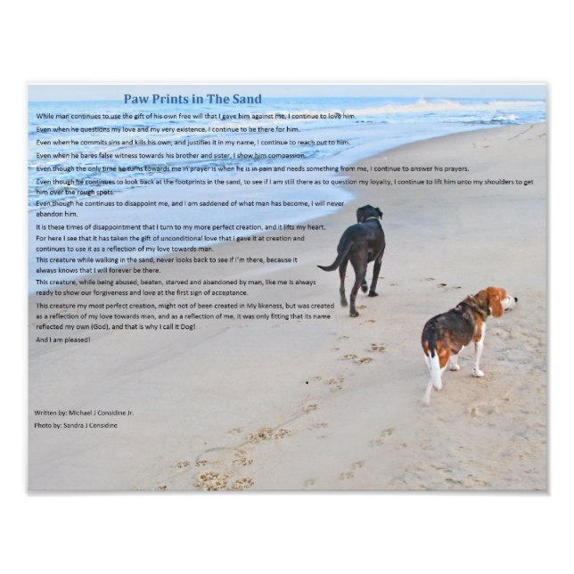 Paw Prints in The Sand 14" x 11"  Print (Front)