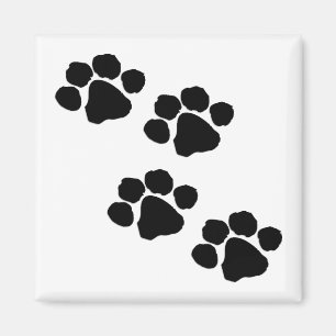 Paw Prints Magnet