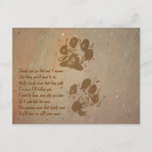 Paw Prints on Stone Postcard
