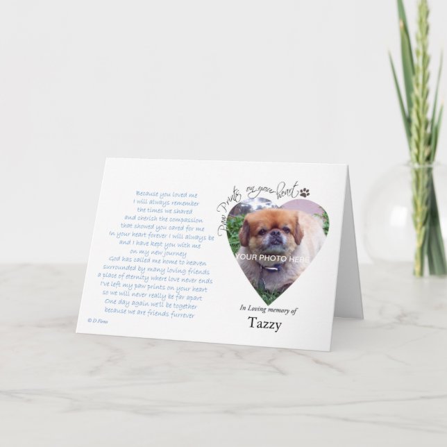 Paw Prints on Your Heart  custom photo card (Front)