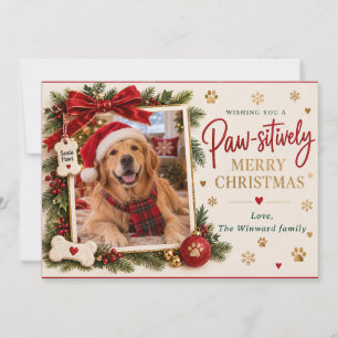 Paw-sitively Merry Dog Photo Christmas Card
