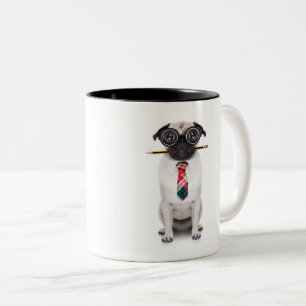 Paw-some Accountant Mug