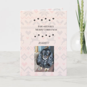Paw-stively Merry Christmas with Pet Photo Holiday Card
