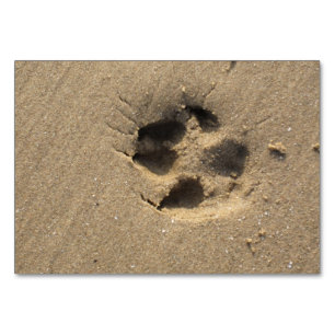 Paw track table number