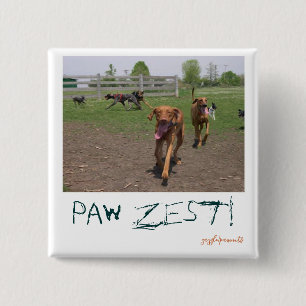 Paw zest! 2 inch square button