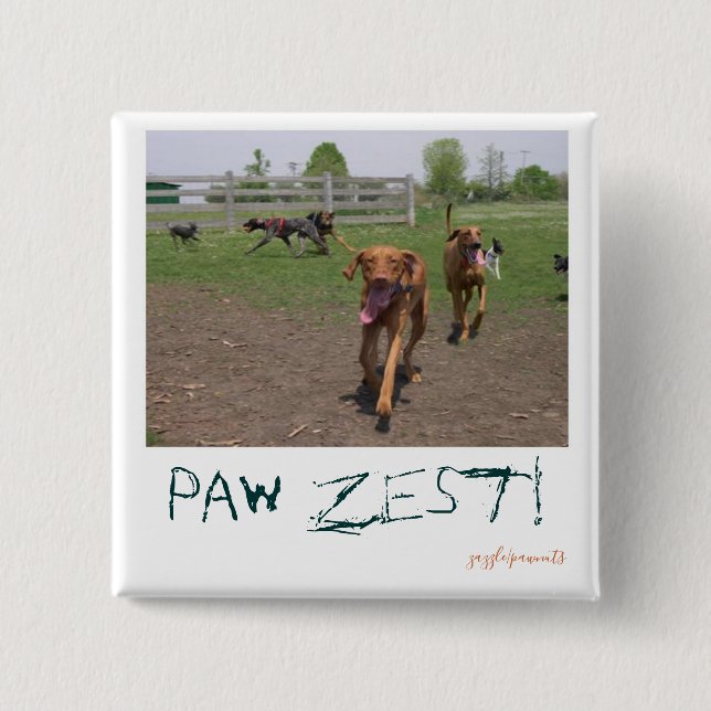 Paw zest! 2 inch square button (Front)