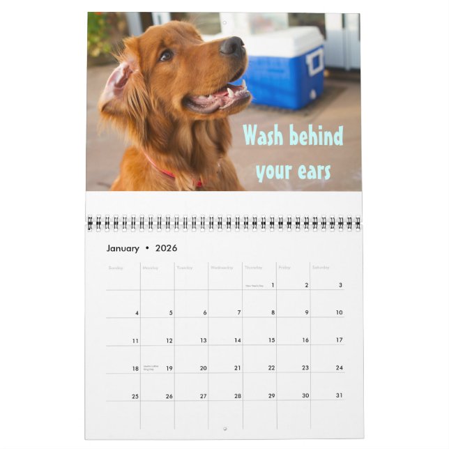 Pawcurious 2011 Calendar (Jan 2026)