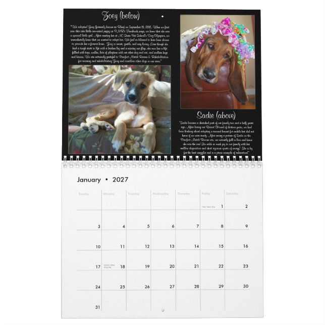 Pawfect Match 2013 Calendar (Jan 2027)