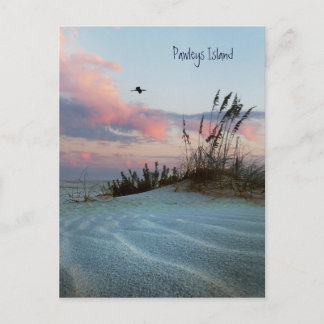 Pawleys Island Dune Sunset Postcard