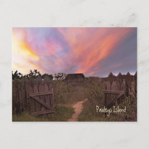 Pawleys Island Sunset Postcard