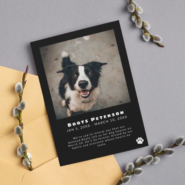 Pawprint blanc Pet Perte Faire-part photo (Créateur téléchargé)