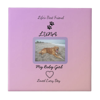 Pawprint Heart Everyday Pet Tile
