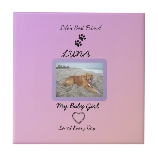Pawprint Heart Everyday Pet Tile (Front)