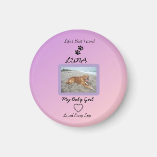 Pawprint Heart Pet Joy Magnet