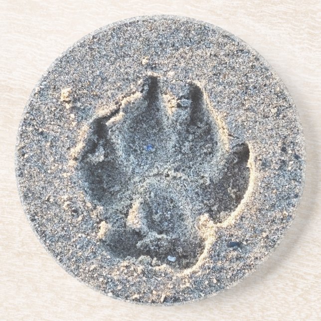 PAWPRINT IN THE SAND    COASTER (Front)