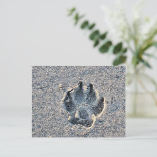 PAWPRINT IN THE SAND POSTCARD