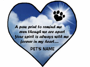 rainbow bridge cat poem home