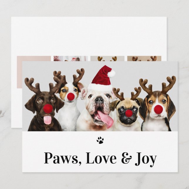 Paws Amour et Joy Chien Noël 5 Carte photo (Devant / Derrière)