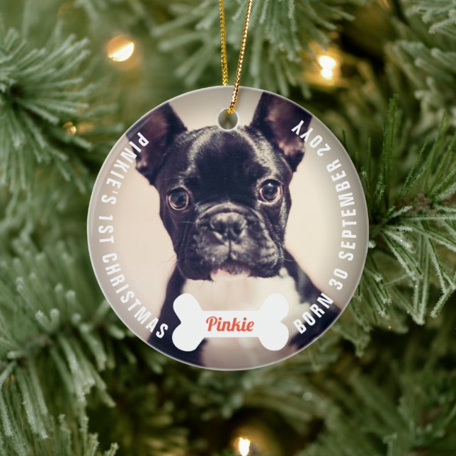 Paws And Bones Dog Lover Pet First Christmas Photo Ceramic Ornament (Tree)