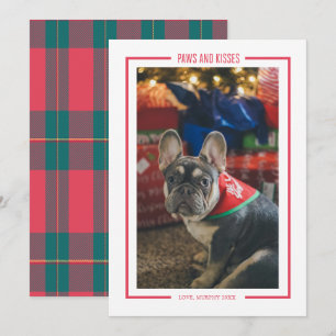 Paws and Kisses Funny Pet Photo Holiday Card