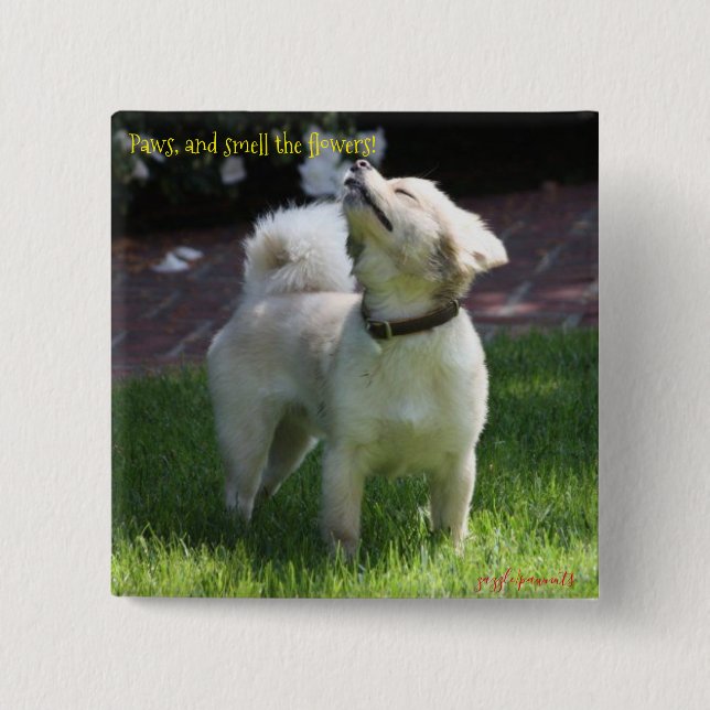 Paws, and smell the flowers 2 inch square button (Front)