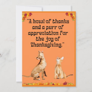 Paws and Thanks: Thanksgiving Cards 