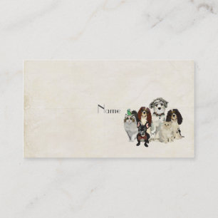 PAWS, CLAWS & FEATHERS Business Card