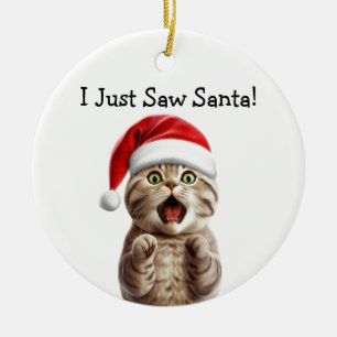 Paws-itively Festive Cat Ornament