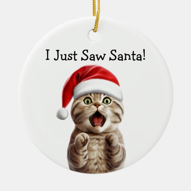 Paws-itively Festive Cat Ornament (Front)