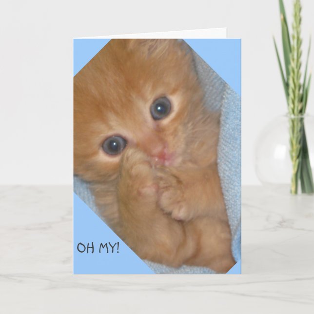 PAWS-ITIVEMENT MARVELOUS CARTE D'ACCUEIL D'ANNIVER (Devant)